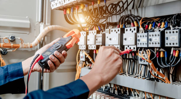 Best Home Electrical Repair  in Woodlawn Beach, FL