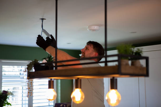 Best Ceiling Fan Installation Electrician  in Woodlawn Beach, FL