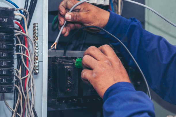 Best Affordable Electrician  in Woodlawn Beach, FL