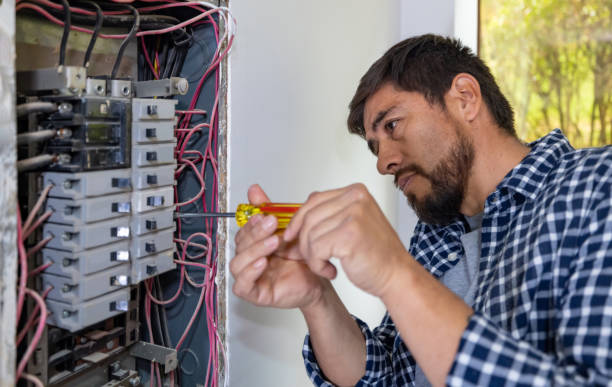 Best Home Electrical Repair  in Woodlawn Beach, FL